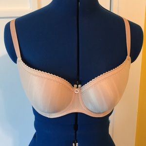 Panache Cleo Maddie 32F molded cup